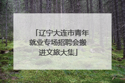 辽宁大连市青年就业专场招聘会搬进文旅大集