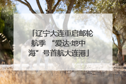 辽宁大连重启邮轮航季 “爱达·地中海”号首航大连港