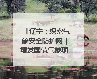 辽宁：织密气象安全防护网｜增发国债气象项目落地见效系列报道