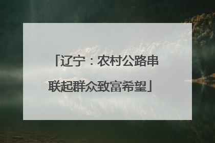 辽宁：农村公路串联起群众致富希望