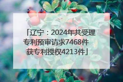 辽宁：2024年共受理专利预审请求7468件 获专利授权4213件
