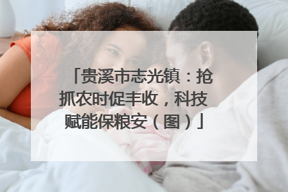 贵溪市志光镇：抢抓农时促丰收，科技赋能保粮安（图）