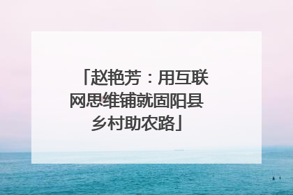 赵艳芳：用互联网思维铺就固阳县乡村助农路