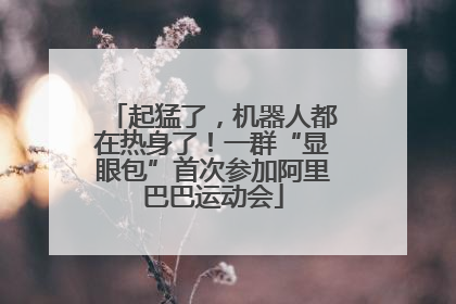 起猛了，机器人都在热身了！一群“显眼包”首次参加阿里巴巴运动会