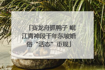 赛龙舟抓鸭子 岷江青神段千年东坡婚俗“活态”重现