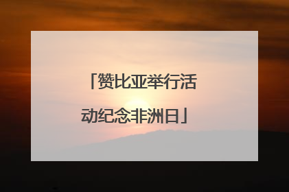 赞比亚举行活动纪念非洲日