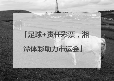 足球+责任彩票，湘潭体彩助力市运会