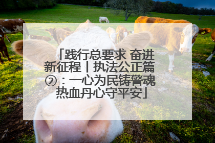 践行总要求 奋进新征程丨执法公正篇②：一心为民铸警魂 热血丹心守平安
