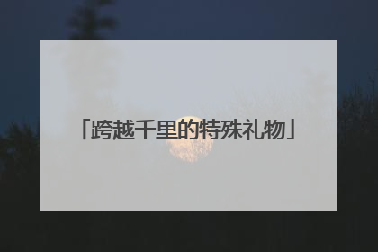 跨越千里的特殊礼物
