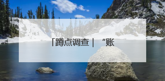 蹲点调查｜“账本”里头话振兴