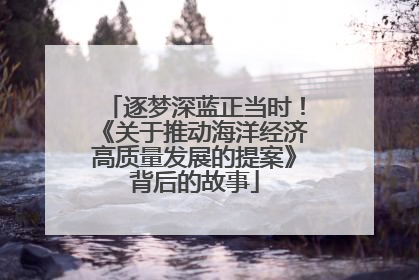 逐梦深蓝正当时！《关于推动海洋经济高质量发展的提案》背后的故事