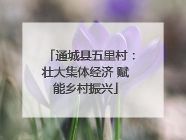 通城县五里村：壮大集体经济 赋能乡村振兴
