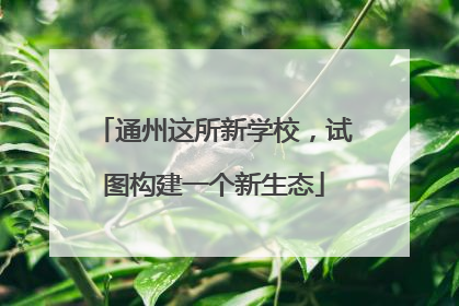 通州这所新学校，试图构建一个新生态