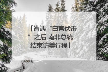 遭遇“白宫伏击”之后 南非总统结束访美行程