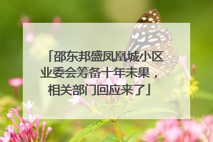 邵东邦盛凤凰城小区业委会筹备十年未果，相关部门回应来了