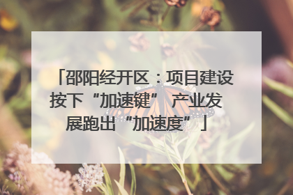 邵阳经开区：项目建设按下“加速键” 产业发展跑出“加速度”