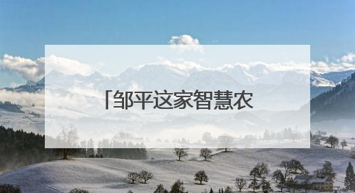 邹平这家智慧农场实现耕种管收全程无人精准作业