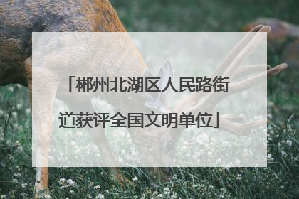 郴州北湖区人民路街道获评全国文明单位