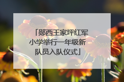 郧西王家坪红军小学举行一年级新队员入队仪式
