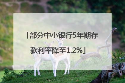 部分中小银行5年期存款利率降至1.2%