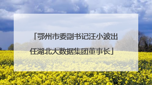 鄂州市委副书记汪小波出任湖北大数据集团董事长