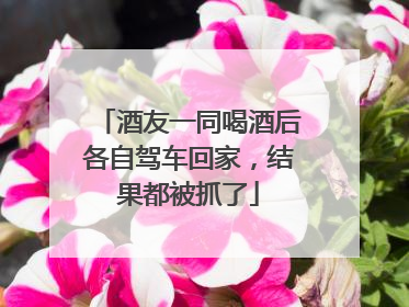 酒友一同喝酒后各自驾车回家，结果都被抓了