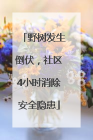 野树发生倒伏，社区4小时消除安全隐患