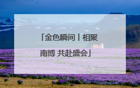 金色瞬间丨相聚南博 共赴盛会