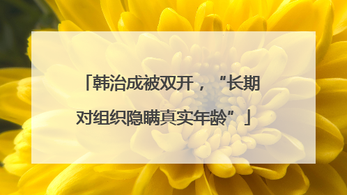 韩治成被双开，“长期对组织隐瞒真实年龄”