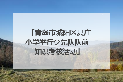 青岛市城阳区夏庄小学举行少先队队前知识考核活动