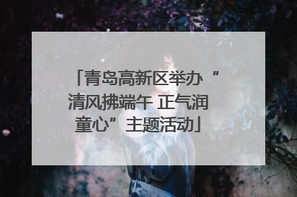 青岛高新区举办“清风拂端午 正气润童心”主题活动