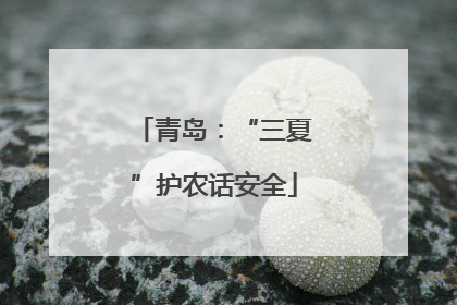 青岛：“三夏”护农话安全