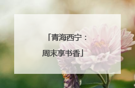 青海西宁：周末享书香
