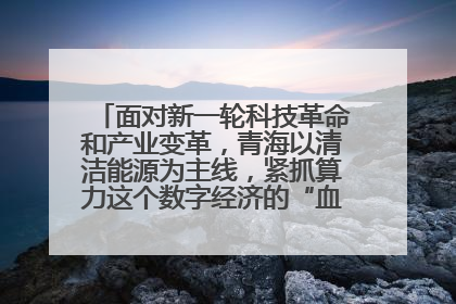 面对新一轮科技革命和产业变革，青海以清洁能源为主线，紧抓算力这个数字经济的“血液”、科技主权的“筹码”、产业升级的“杠杆”、绿色转型的“支点”，勇于撬动国家“双碳”战略、“东数西算”工程重大发展新机遇