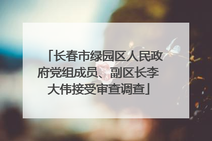 长春市绿园区人民政府党组成员、副区长李大伟接受审查调查
