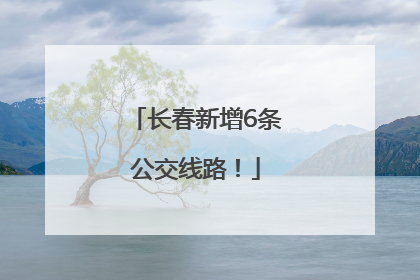 长春新增6条公交线路！