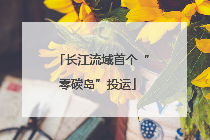 长江流域首个“零碳岛”投运