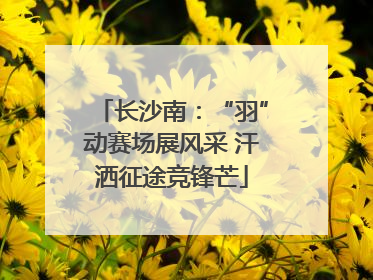 长沙南：“羽”动赛场展风采 汗洒征途竞锋芒