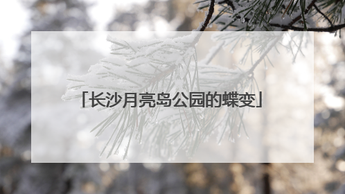 长沙月亮岛公园的蝶变