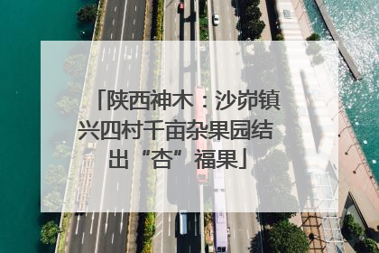陕西神木：沙峁镇兴四村千亩杂果园结出“杏”福果