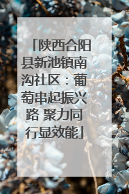陕西合阳县新池镇南沟社区：葡萄串起振兴路 聚力同行显效能