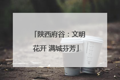 陕西府谷：文明花开 满城芬芳