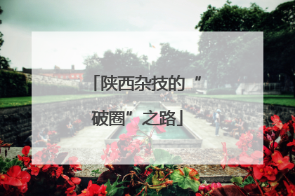 陕西杂技的“破圈”之路