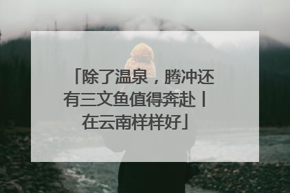 除了温泉，腾冲还有三文鱼值得奔赴丨在云南样样好