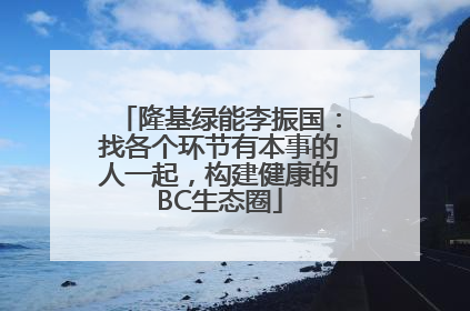 隆基绿能李振国：找各个环节有本事的人一起，构建健康的BC生态圈
