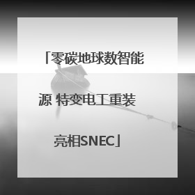 零碳地球数智能源 特变电工重装亮相SNEC