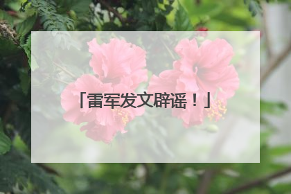 雷军发文辟谣！