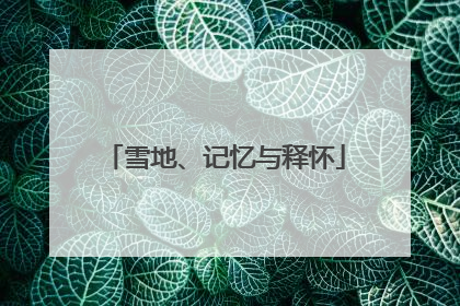雪地、记忆与释怀
