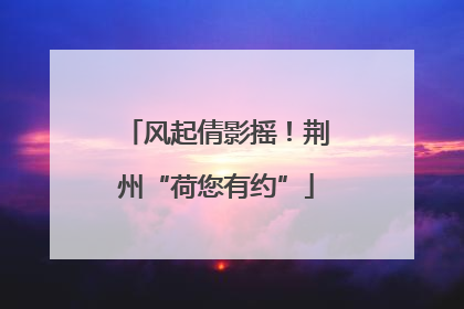 风起倩影摇！荆州“荷您有约”