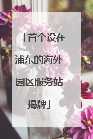 首个设在浦东的海外园区服务站揭牌